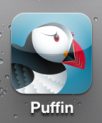 Puffin