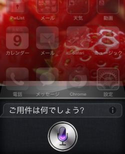 Siriはホームボタンの長押しで起動