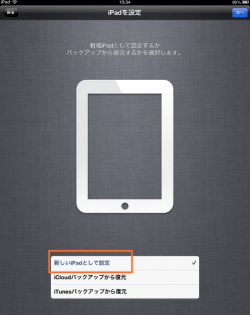 新しいiPadとして設定をタップ